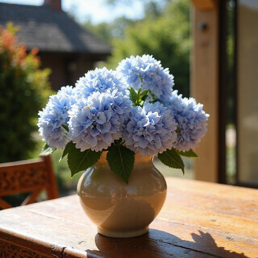 Why Artificial Hydrangeas Are the Perfect Choice for South African Homes - Future Decor