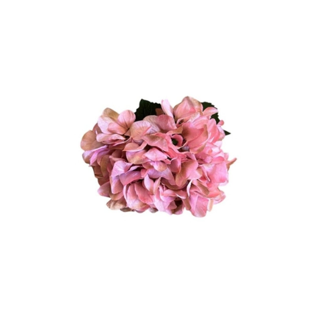 Artificial Hydrangea - Pink 80cm - Future Decor