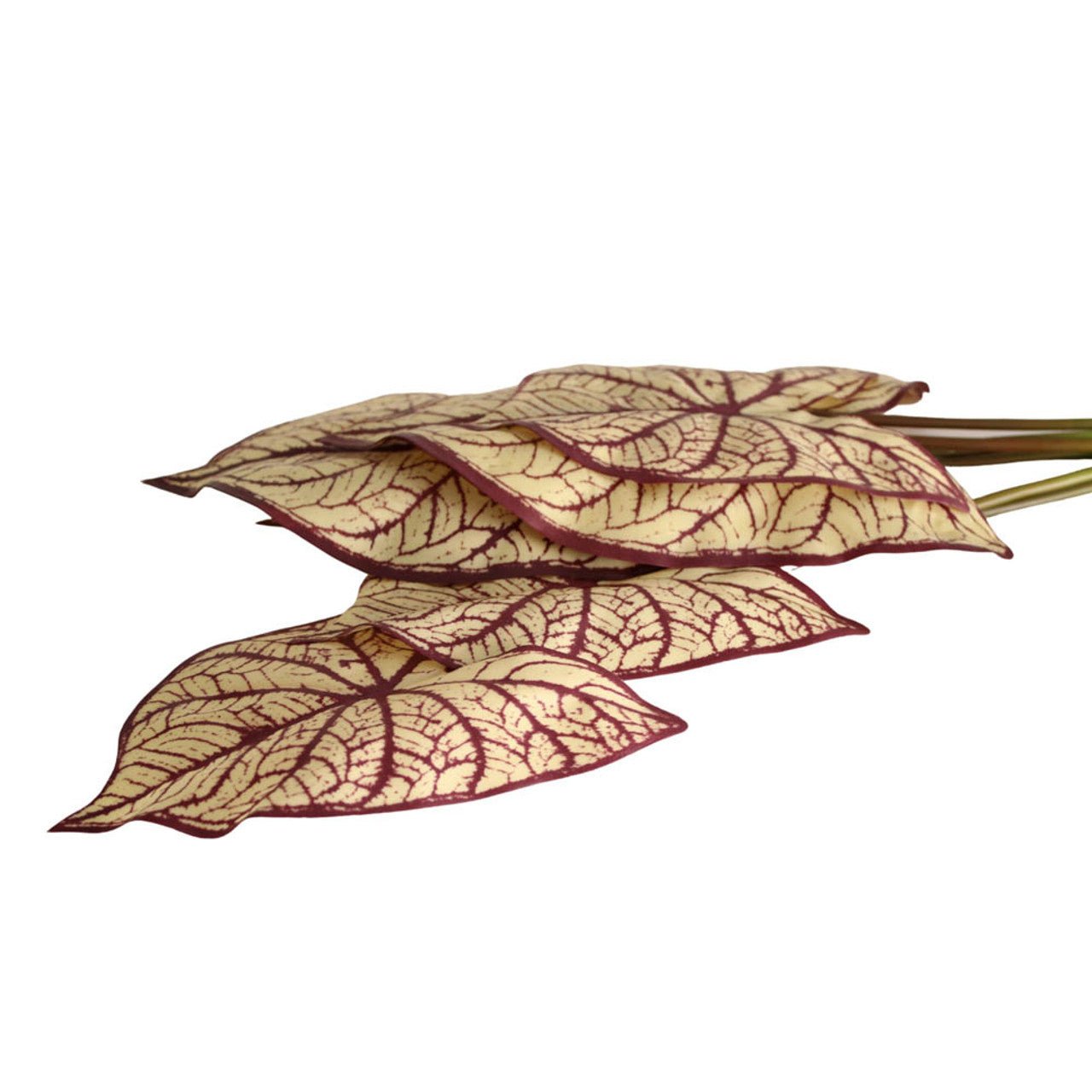 Artificial Leaves - Purple And Yellow Angel Wings - Future Decor