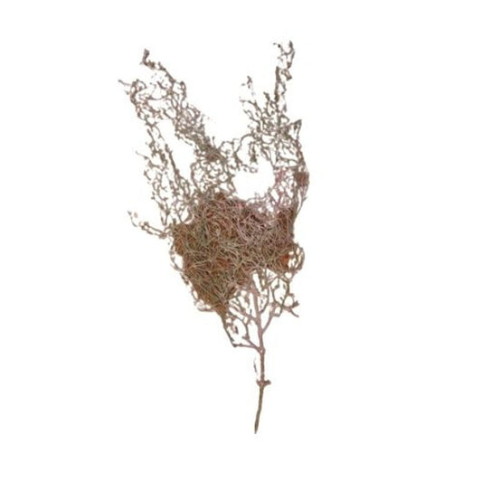 Artificial Spanish Moss Indoor Decor Plant - Future Decor