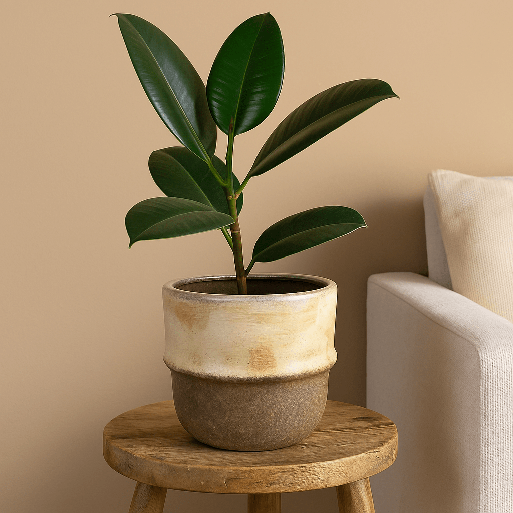 Ceramic Pot - Rustic Beige Colours - Future Decor