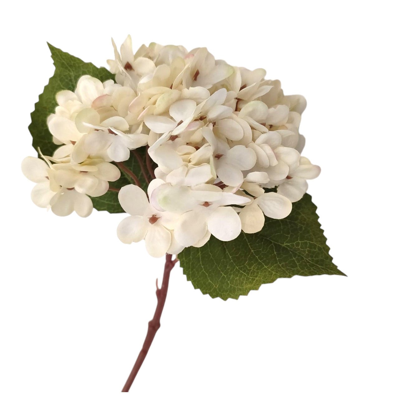 Elegant Off White Faux Hydrangea Blooms - Future Decor
