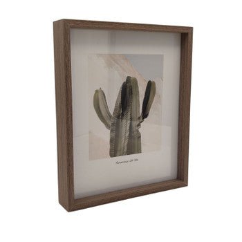 Floating Cactus Art Frame in Dark Brown - Future Decor