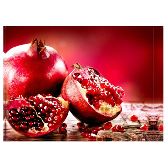 Pomegranate Design Disposable Table Mat - 24 Pack - Future Decor