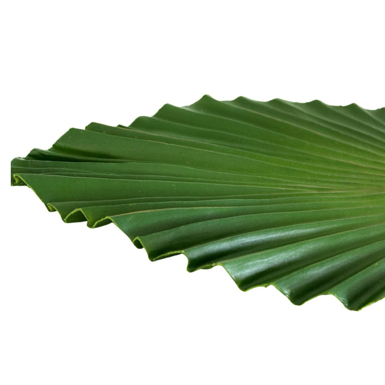 Sharp Point Palm Decorative Leaf - Future Decor