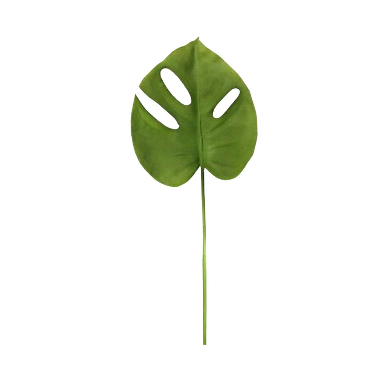 Tropical Swiss Cheese Monstera Leaf Decor - Future Decor
