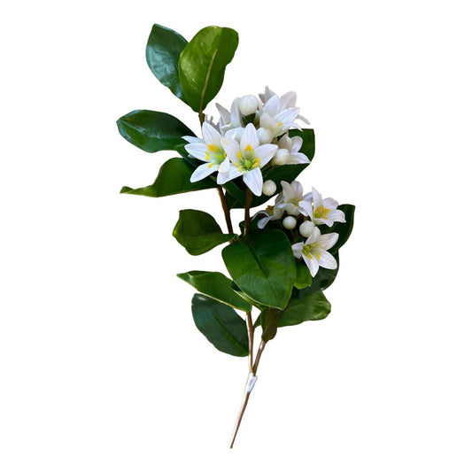 White Jasmine Blossom Décor Flower - Future Decor